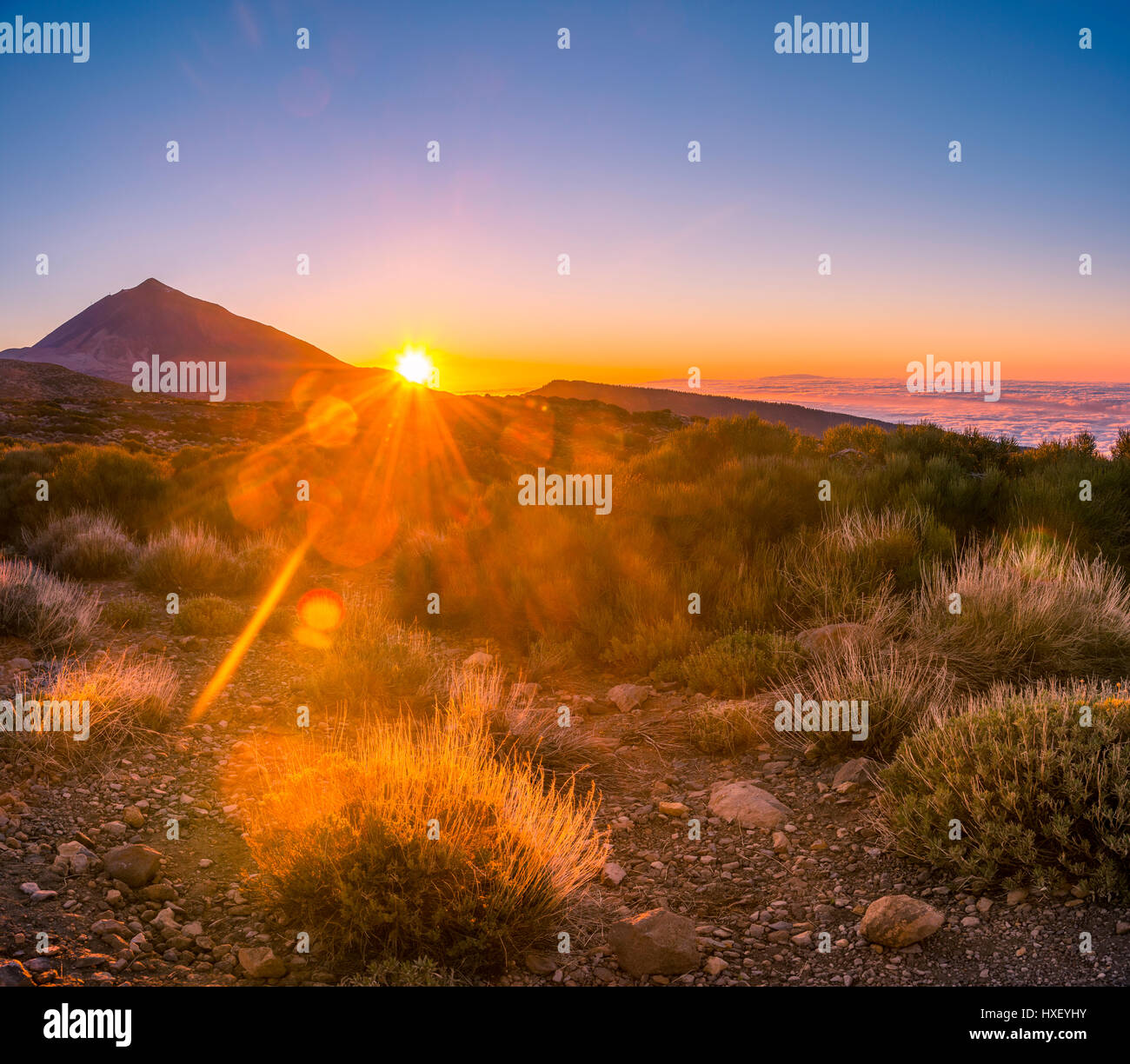 Coucher de soleil, ciel nuageux, le volcan Teide et le volcan paysage, paysage rétroéclairé, parc national El Teide, Tenerife, Canary Islands Banque D'Images