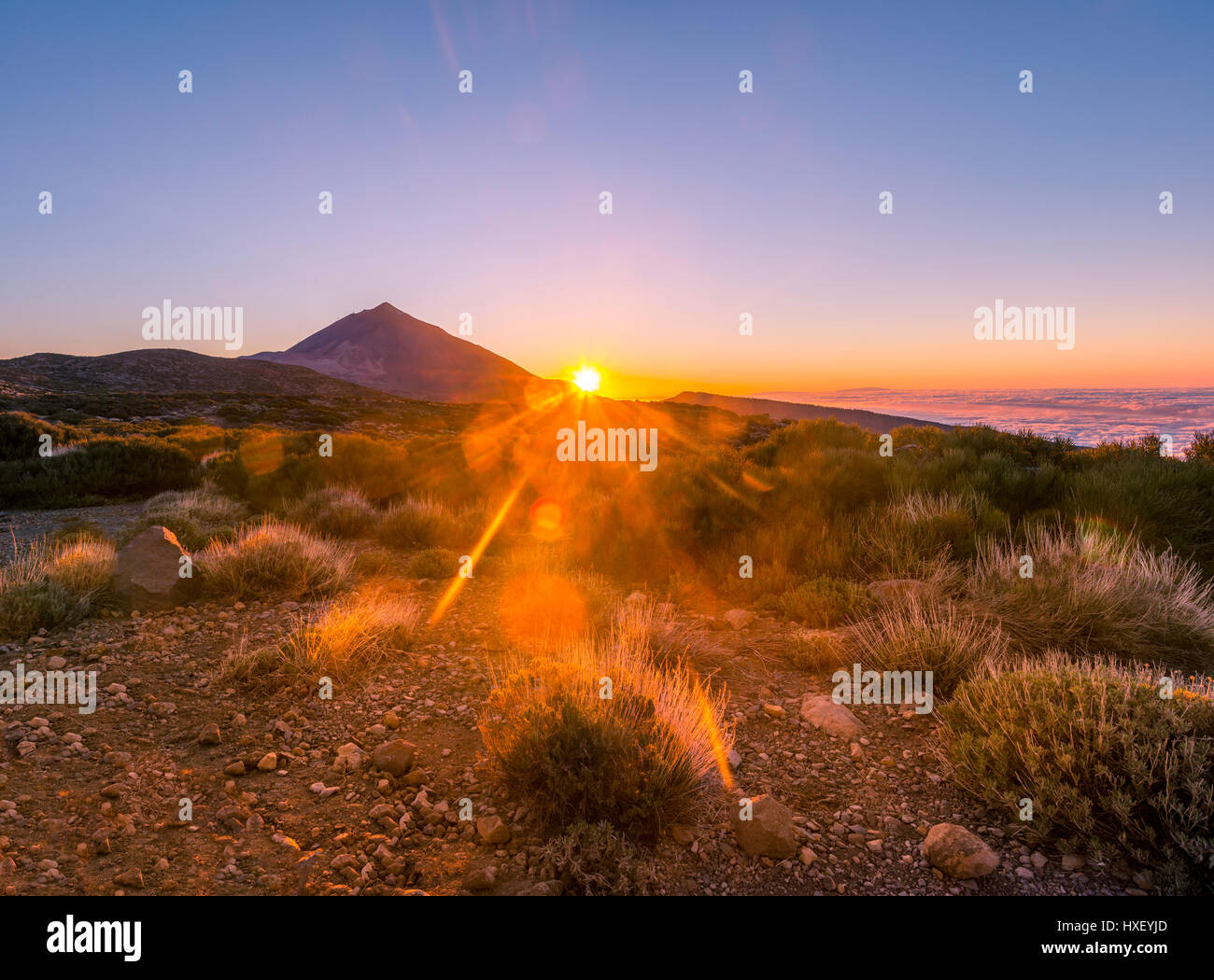 Coucher de soleil, ciel nuageux, le volcan Teide et le volcan paysage, paysage rétroéclairé, parc national El Teide, Tenerife, Canary Islands Banque D'Images