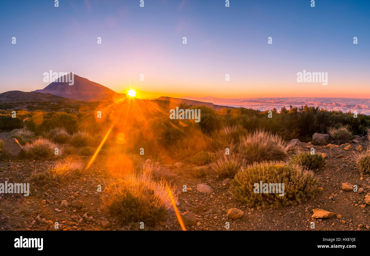 Coucher de soleil, ciel nuageux, le volcan Teide et le volcan paysage, paysage rétroéclairé, parc national El Teide, Tenerife, Canary Islands Banque D'Images