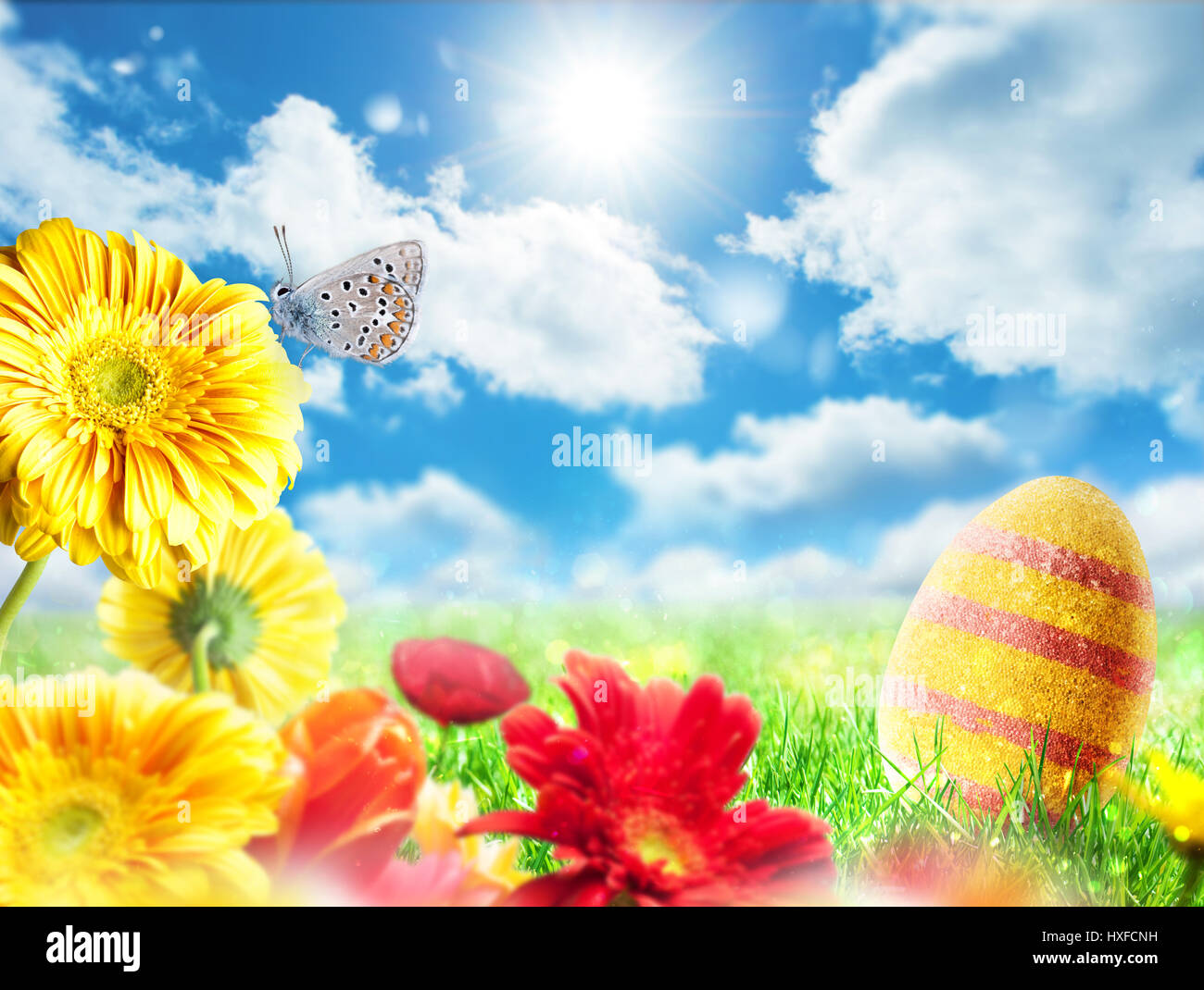 Oeufs de Pâques dans un pré sur une journée de printemps ensoleillée Banque D'Images