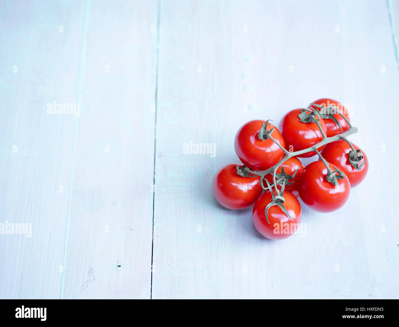 Tomate rouge mûre sur la vigne Banque D'Images