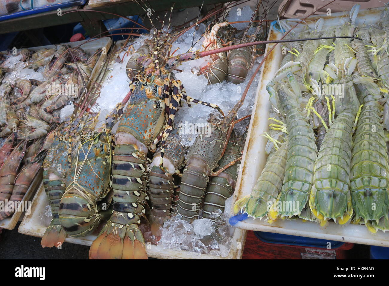 Beaucoup de langoustes savoureuses dans les restaurants à Patong sur l'île de Phuket en Thaïlande. Fruits de mer frais. Banque D'Images