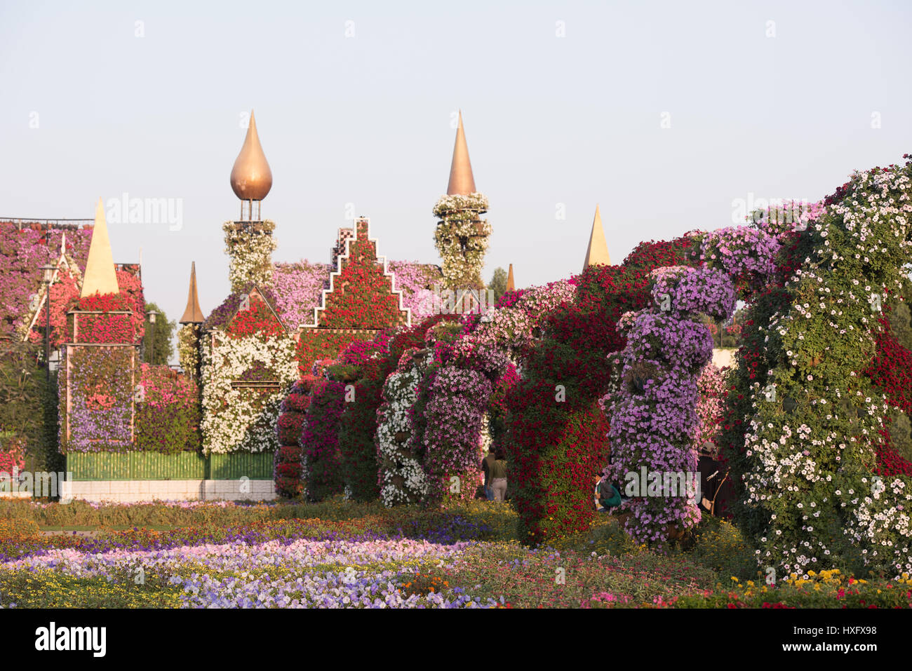 Tour des fleurs avec pétunia Banque de photographies et d'images à haute  résolution - Alamy