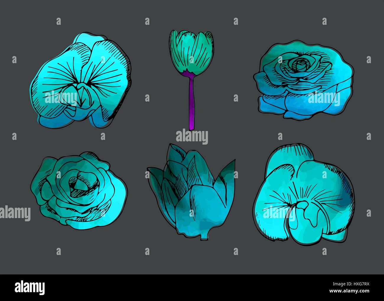 Icône vecteur série de fleurs Banque D'Images