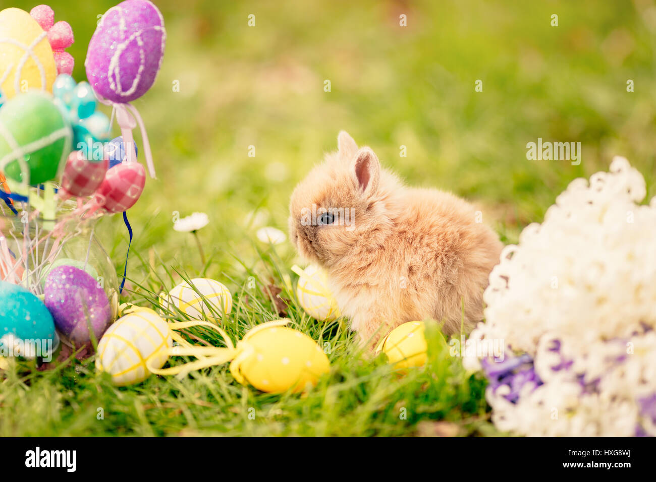 Cute little bunny avec des fleurs et les oeufs de Pâques sur l'herbe en vacances de printemps. Banque D'Images