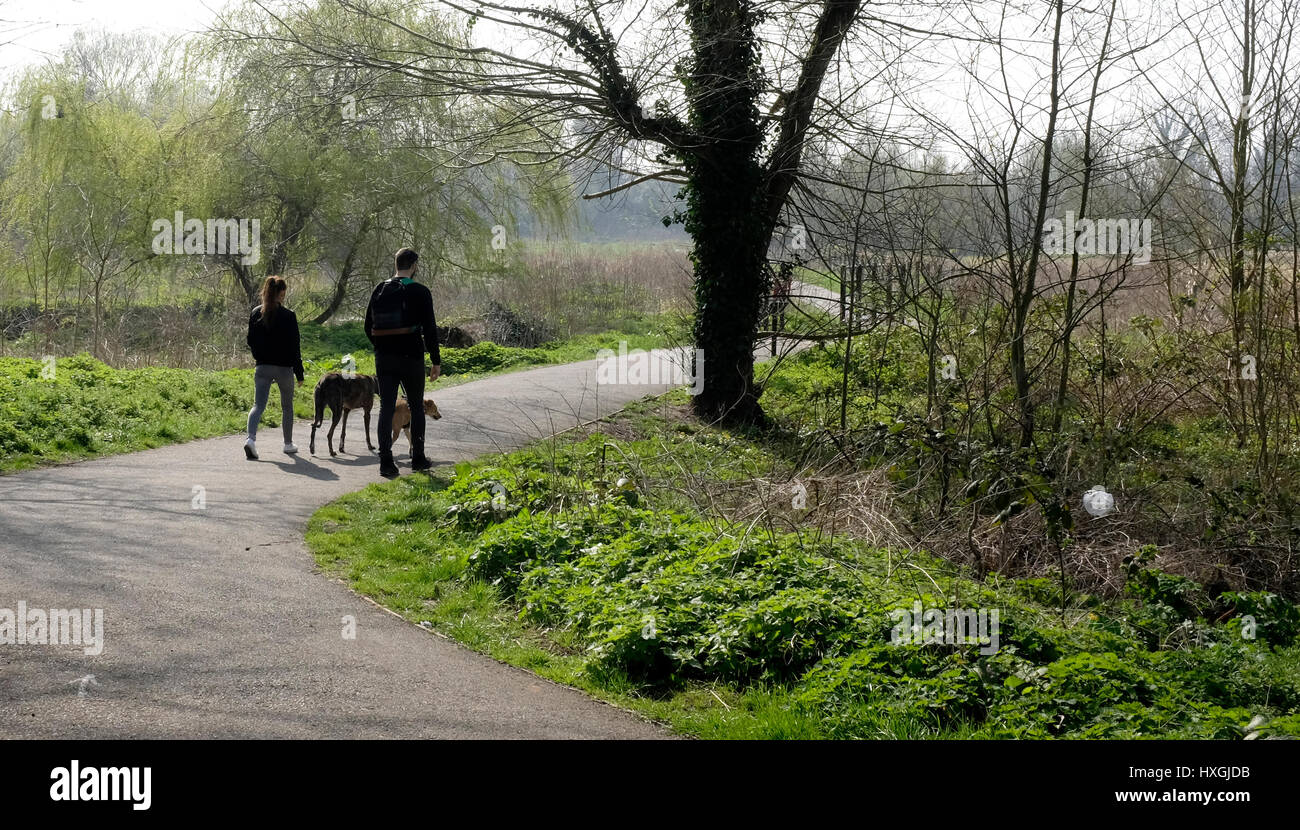 Jeune couple exerçant les chiens dans canterbury westgate Park East Kent uk mars 2017 Banque D'Images