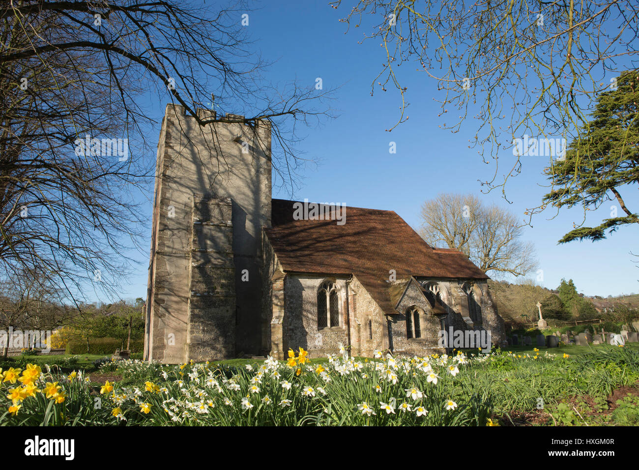 La Bienheureuse Vierge Marie, Singleton dans West Sussex près de Chichester. Journée de printemps avec ciel bleu et fleurs jaunes. Banque D'Images