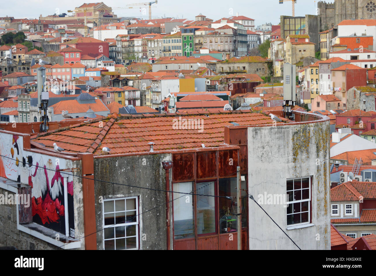 Vue sur toits en terre cuite à Porto en 2017, paysage urbain, Portual Banque D'Images