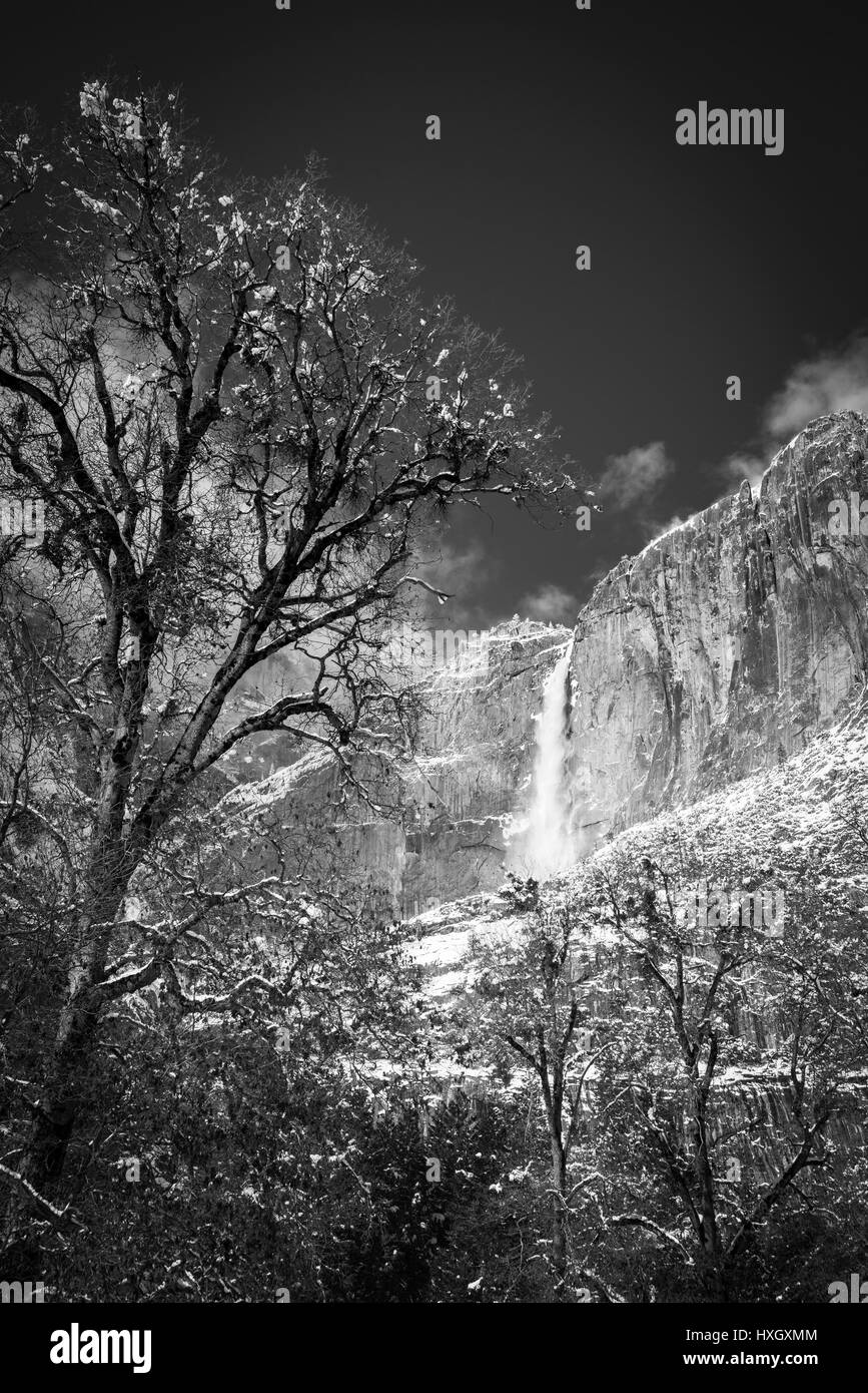 Yosemite Falls après une tempête hivernale, Yosemite National Park, California USA Banque D'Images