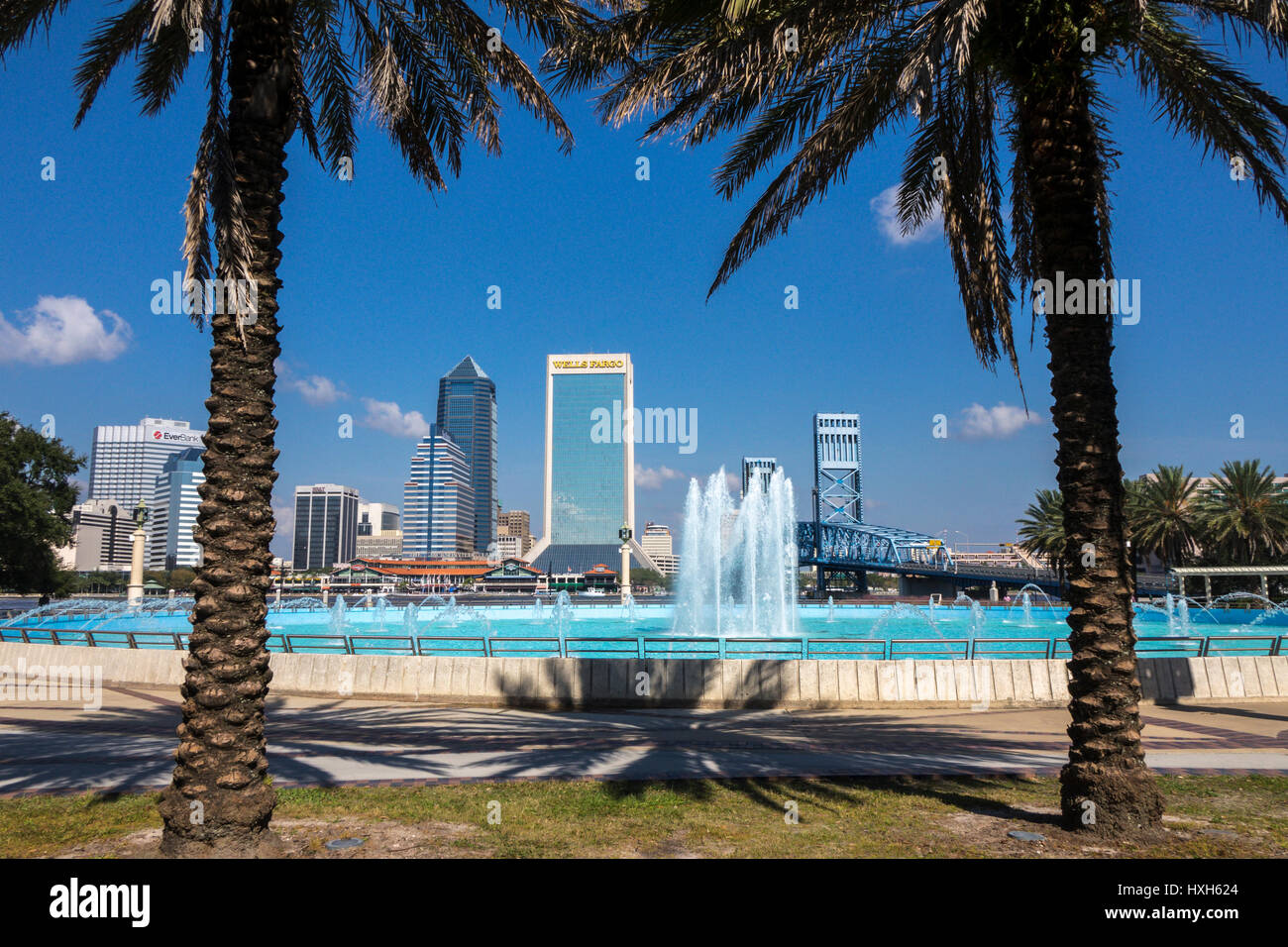 Jacksonville skyline les palmiers, Florida, USA Banque D'Images