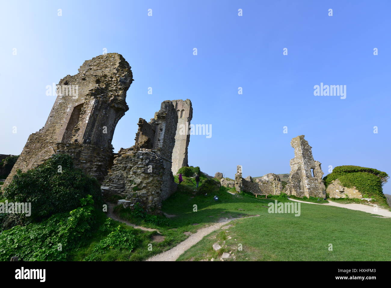 Les ruines de château de Corfe sur un matin de printemps en mars Banque D'Images