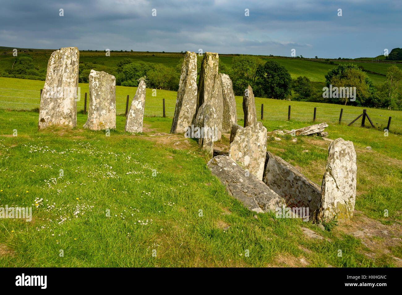 Cairns - Cairnholy Cairnholy chambré J cairn. Dumfries et Galloway, Écosse, Royaume-Uni Banque D'Images