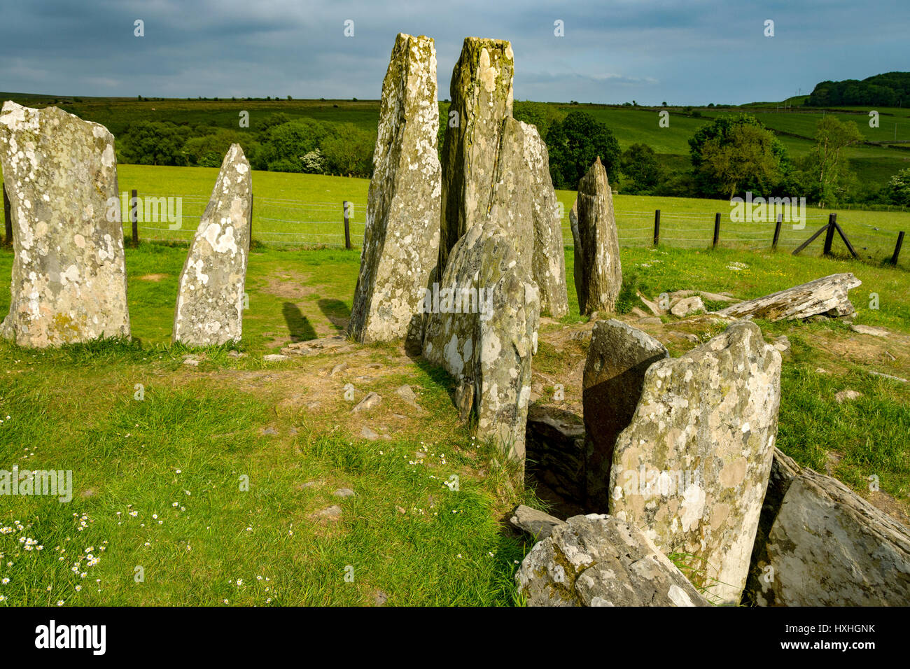 Cairns - Cairnholy Cairnholy chambré J cairn. Dumfries et Galloway, Écosse, Royaume-Uni Banque D'Images