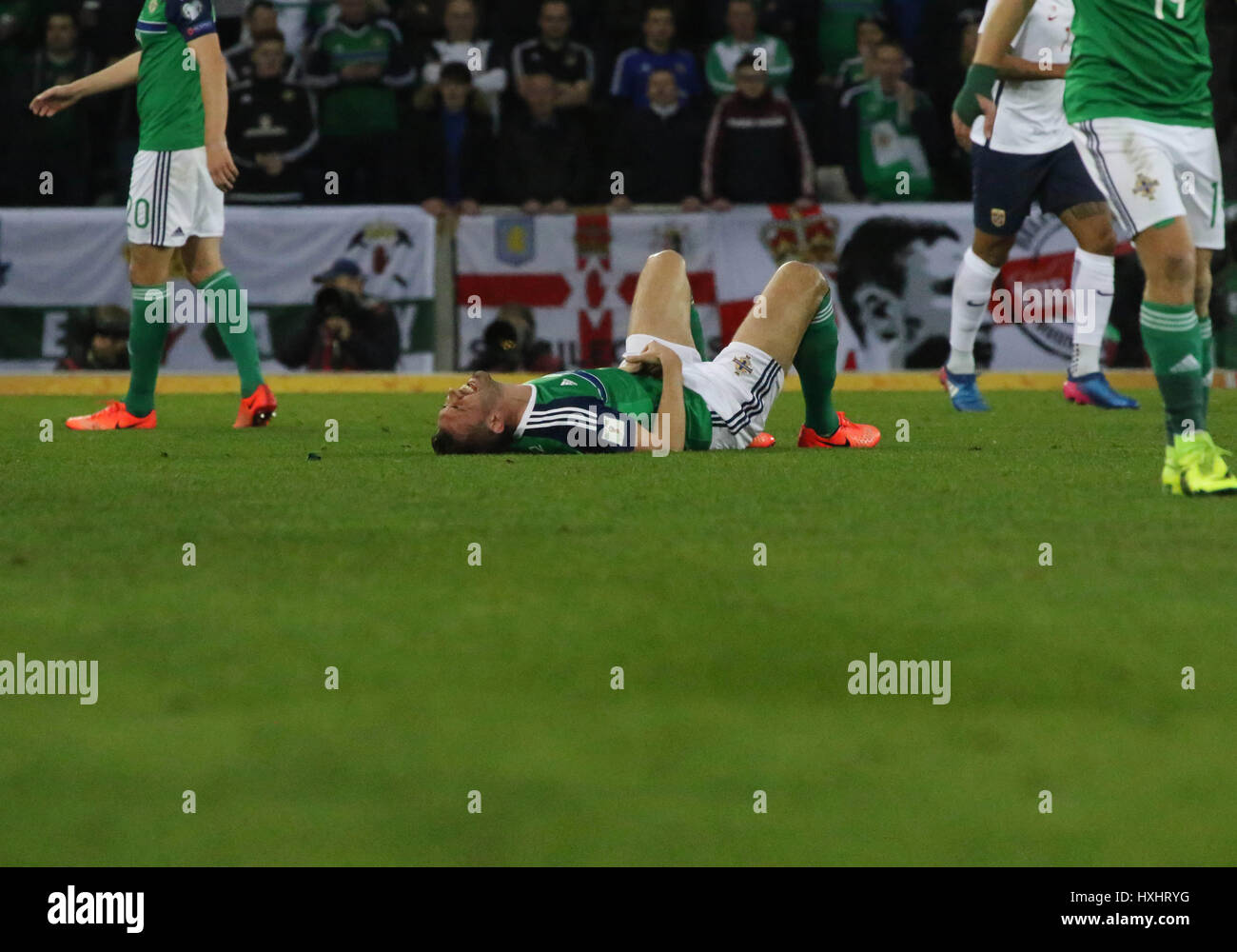 Stade national de football à Windsor Park, Belfast. 26 mars 2017. Qualification de la Coupe du Monde 2018 - Irlande du Nord 2 Norvège 0. Gareth McAuley de l'Irlande du Nord (4) a été blessé dans le bas du premier semestre. Banque D'Images