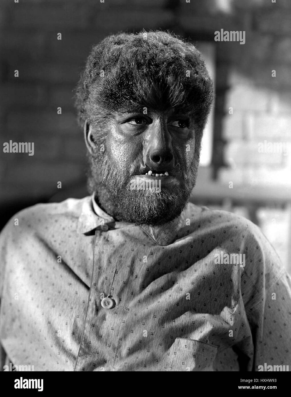 Lon Chaney Jr., (Wolf Man, The) Banque D'Images