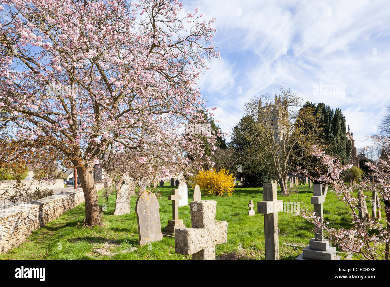 Printemps dans le cimetière de St Marys church dans la ville de Cotswold de Fairford, Gloucestershire UK Banque D'Images