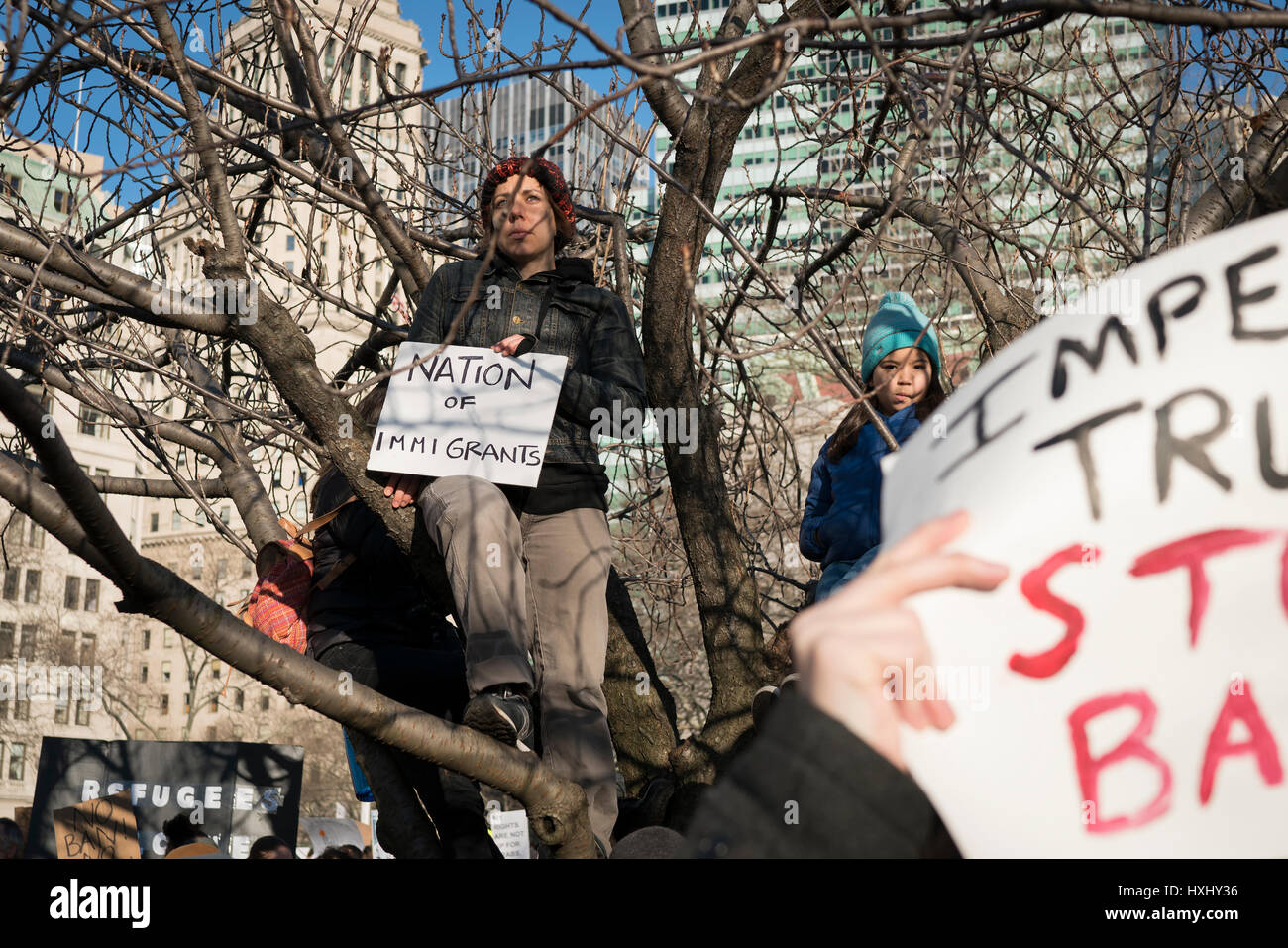 Manifestant grimper des arbres pour une meilleure vue des orateurs au cours d'un rassemblement contre le président musulman du Trump interdiction de voyager dans Battery Park, New York. Banque D'Images