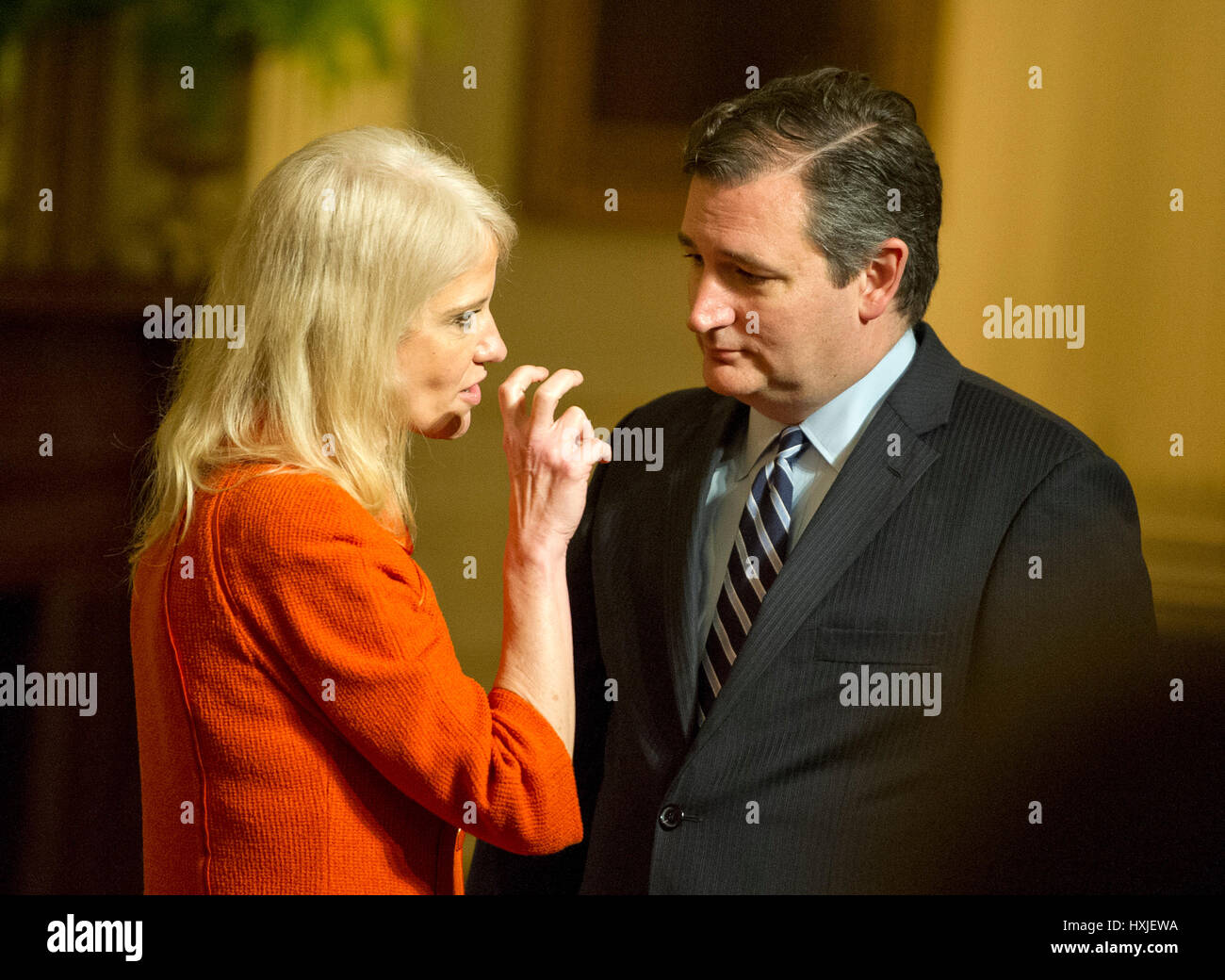 Washington, Us. Mar 28, 2017. Le sénateur américain Ted Cruz (républicain du Texas), droit et conseiller du président Kellyanne Conway, gauche, engager la conversation avant l'arrivée du président des États-Unis Donald J. Trump lors d'une réception pour nous sénateurs et leurs conjoints dans l'East Room de la Maison Blanche à Washington, DC le Mardi, Mars 28, 2017. Credit : Ron Sachs/Piscine via CNP - AUCUN FIL SERVICE - Photo : Ron Sachs/consolidé Nouvelles Photos/Ron Sachs - Piscine via CNP/dpa/Alamy Live News Banque D'Images