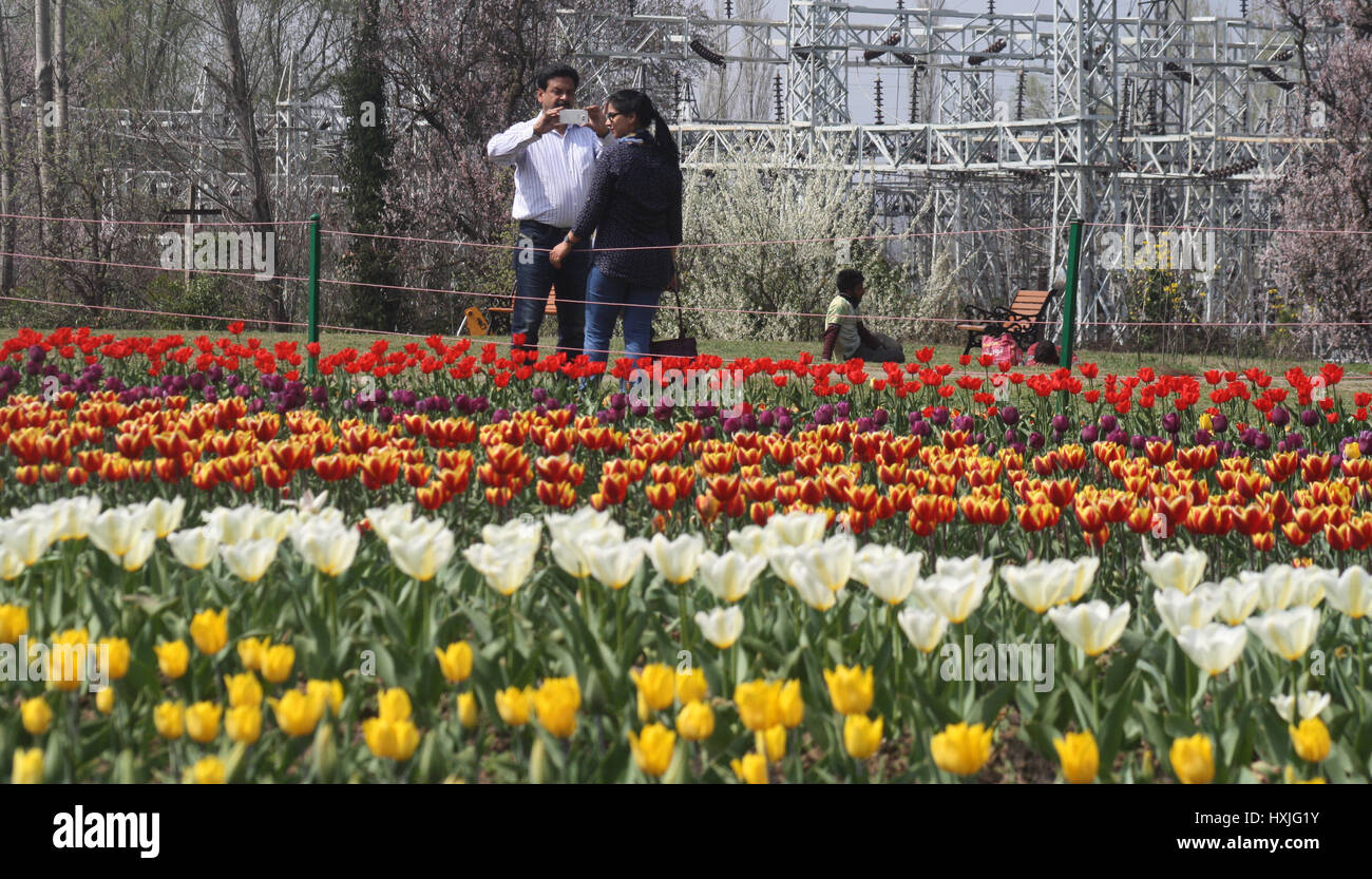 Srinagar, au Cachemire. Mar 29, 2017. Les touristes indiens se promener dans le jardin de tulipes. À mesure que le printemps s'installe et les fleurs sont en pleine floraison, le festival des tulipes est prêt pour le 1er avril. Le festival aura lieu à l'Indira Gandhi Memorial Tulip Garden, donnant sur le pittoresque lac Dal. Le jardin compte plus de 20 lakh tulipes de 46 variétés et son ouverture marque le début de la saison touristique dans la vallée. Credit : Sofi suhail/Alamy Live News Banque D'Images