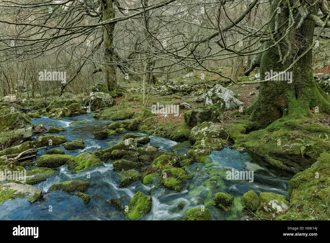 Naissance de la rivière Ason, Cantabria, Espagne, Europe Banque D'Images