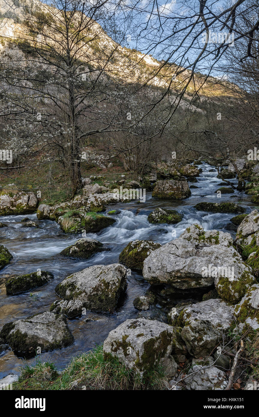 Naissance de la rivière Ason, Cantabria, Espagne, Europe Banque D'Images