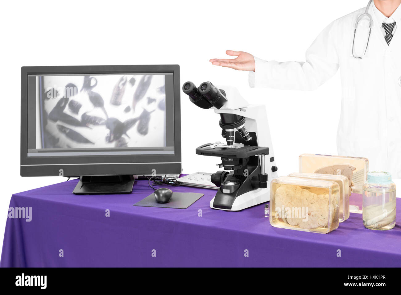 Microscope moderne avec un médecin de la douve du foie Banque D'Images