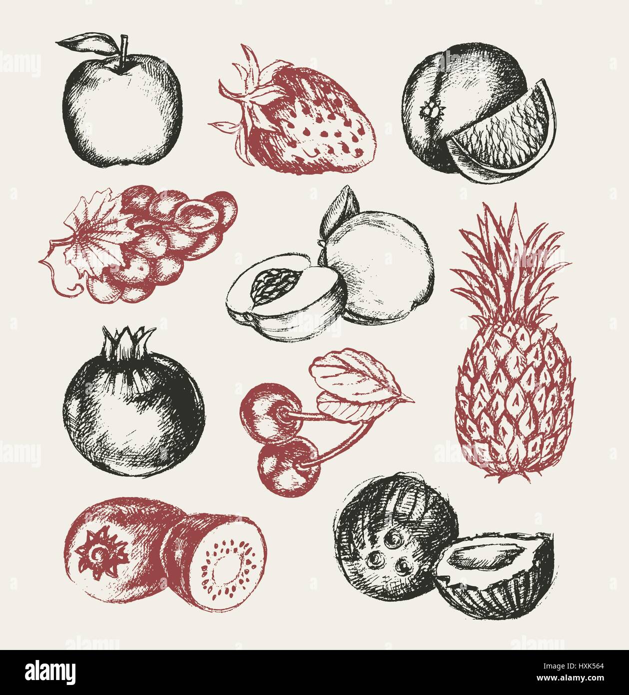 Fruits - vector illustration design moderne à la main. Illustration de Vecteur