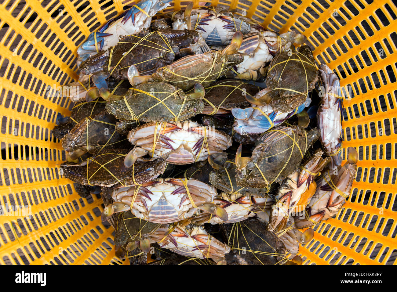 Panier de crabes frais Photo Stock - Alamy