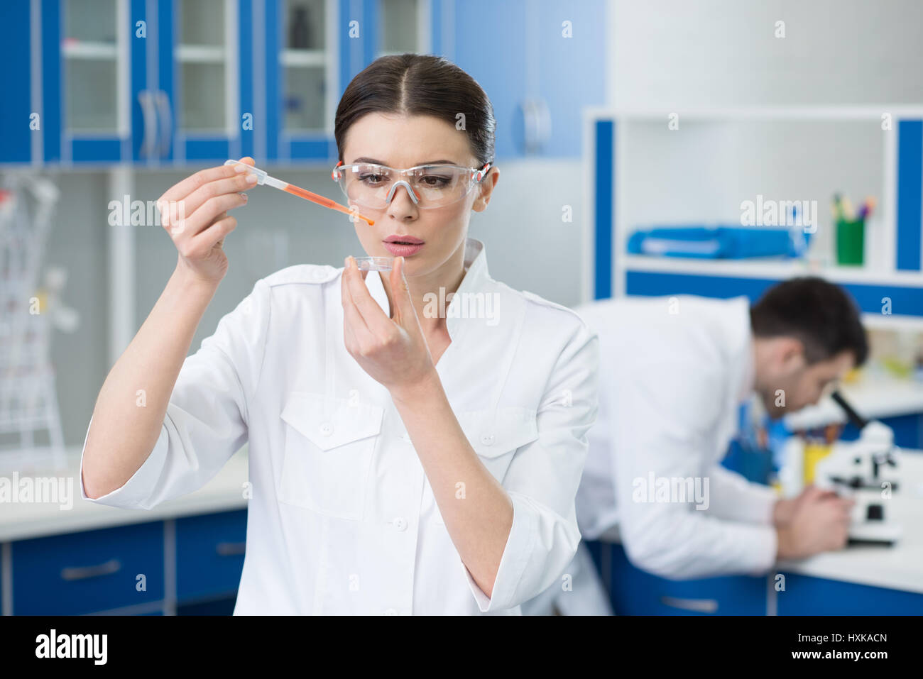 Portrait de femme concentré scientist working in lab Banque D'Images