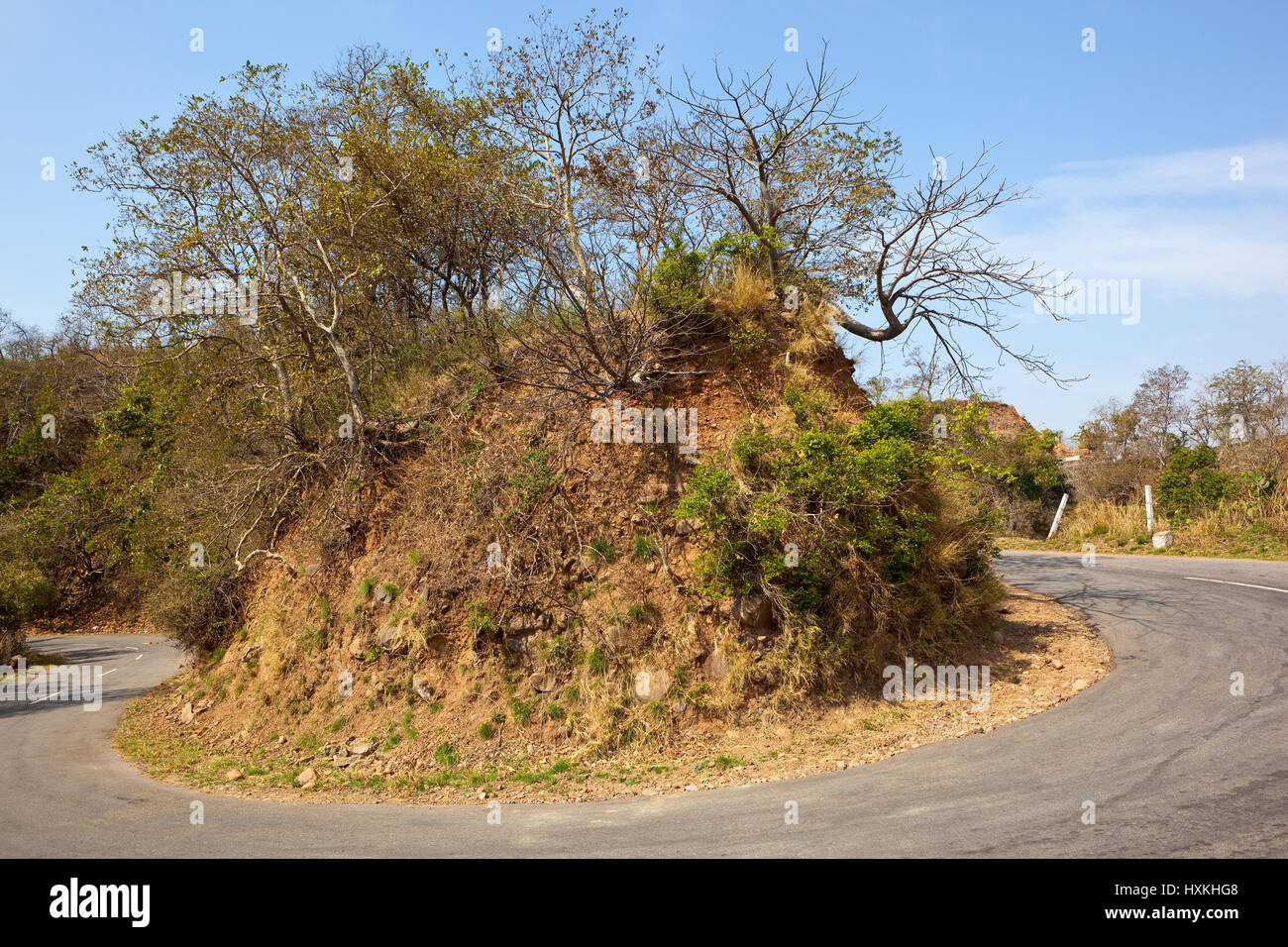 Un virage en épingle à la route en passant par les collines morni chandigarh punjab inde avec sany collines boisées sous un ciel bleu Banque D'Images