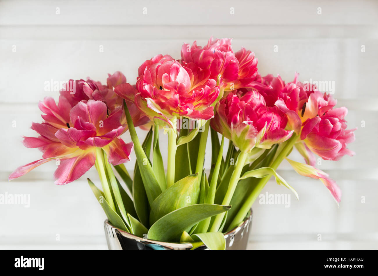 Bouquet de tulipes de couleur rose avec fond en bois blanc Banque D'Images