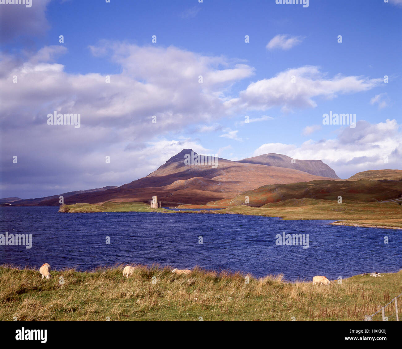 Loch Assynt montrant Ardvreck Castle, comté de Sutherland, Highland, Ecosse, Royaume-Uni Banque D'Images