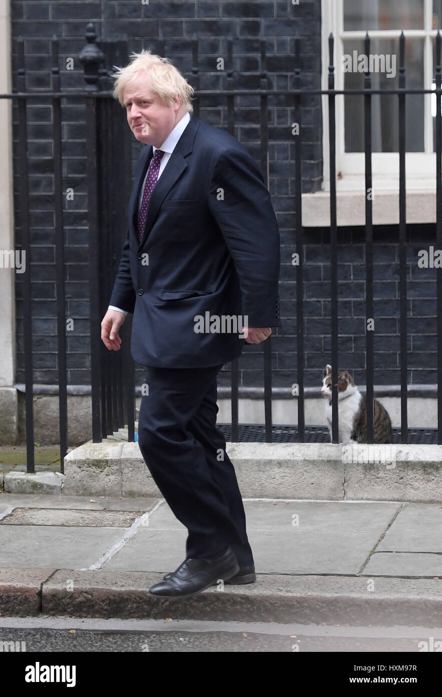 Secrétaire des affaires étrangères Boris Johnson marche dernières Larry le chat à l'extérieur de 10 Downing Street, Londres, après la réunion hebdomadaire du cabinet. Banque D'Images