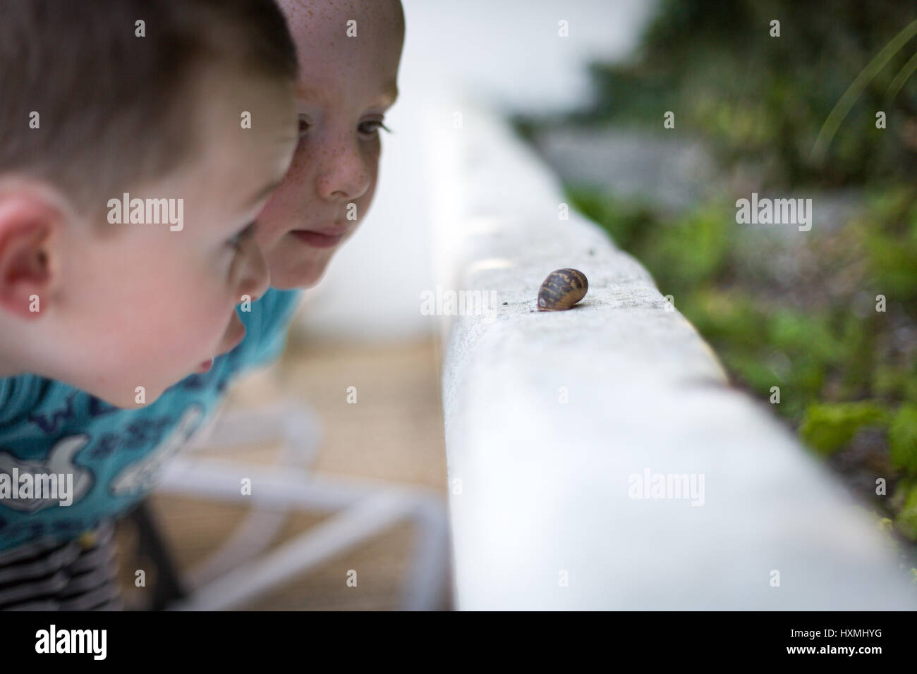 Des jumeaux à la recherche de près un escargot sur un mur Banque D'Images