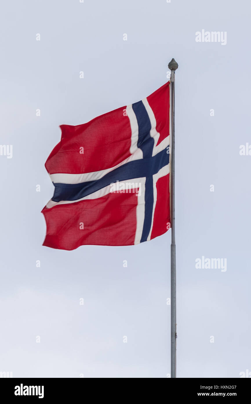 La norges, flagg (nasjonal, national, drapeau, Norvège, norge Banque D'Images