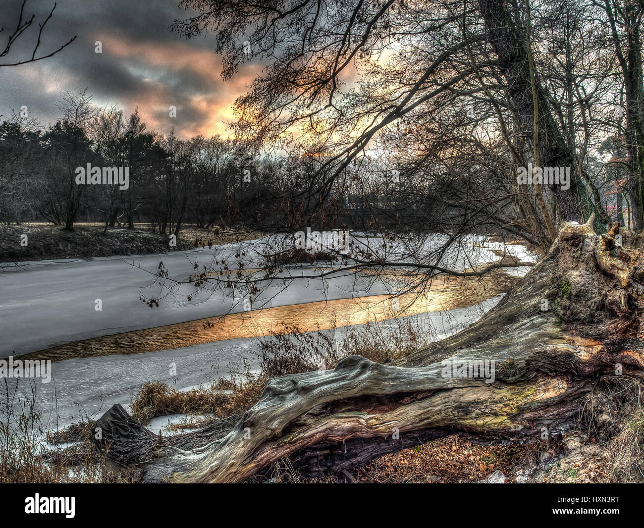 La vue depuis la rive à travers les branches d'un arbre sur une rivière partiellement gelés. La Pologne. Warszawa Banque D'Images