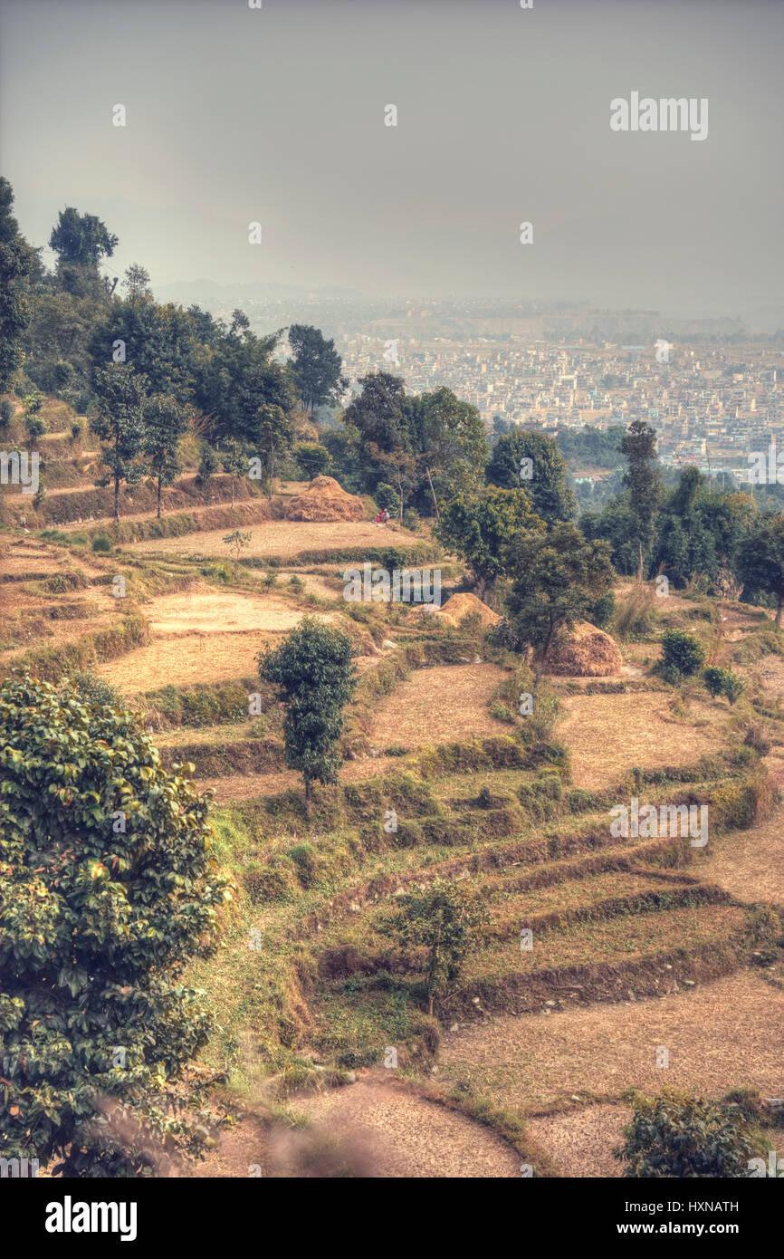 Les champs et les montagnes autour de Pokhara. Himalaya. Le Népal Banque D'Images
