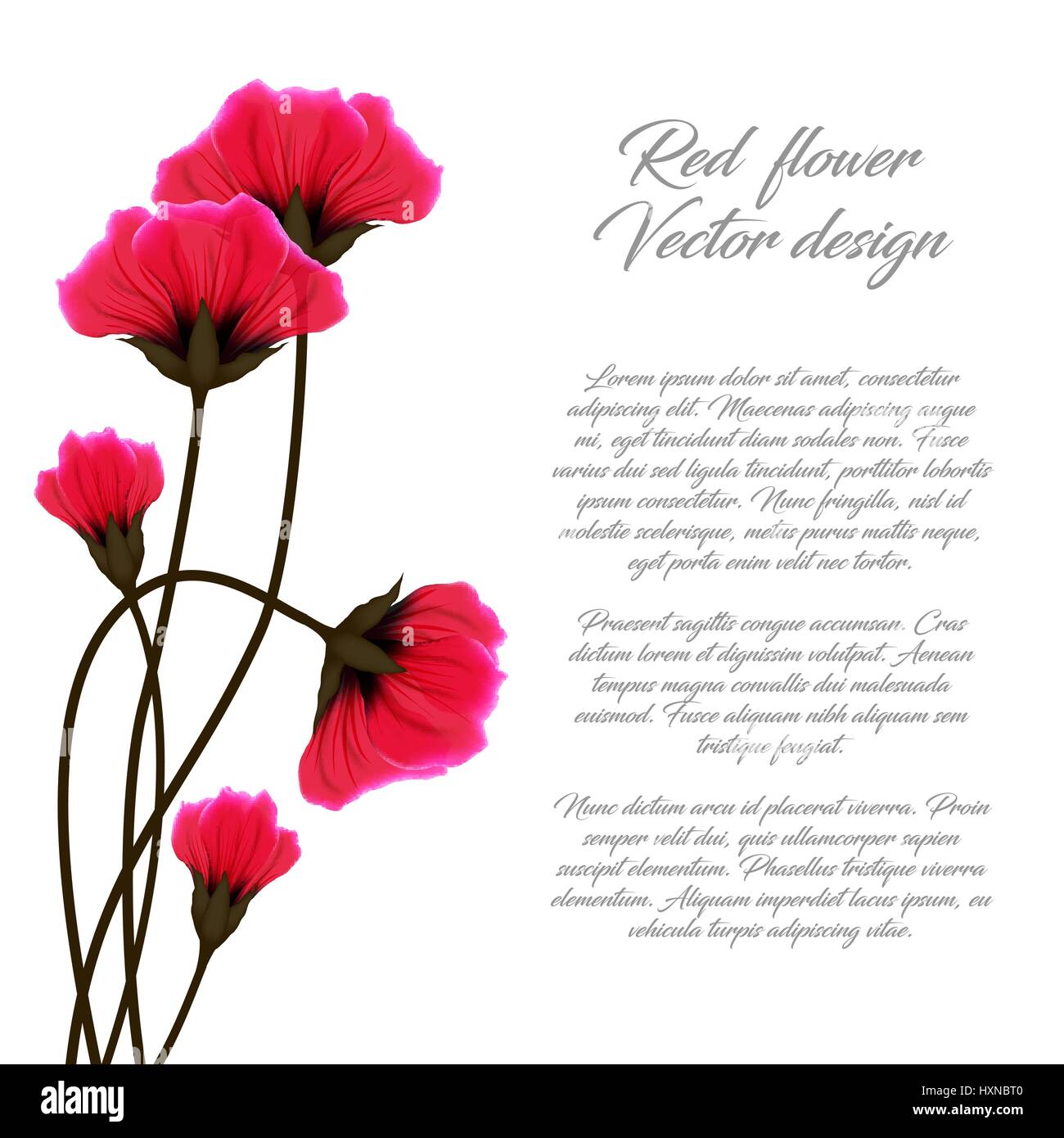 Vector illustration fleur rouge isolé sur fond blanc. Coquelicots carte de vœux ou d'invitation. Illustration de Vecteur