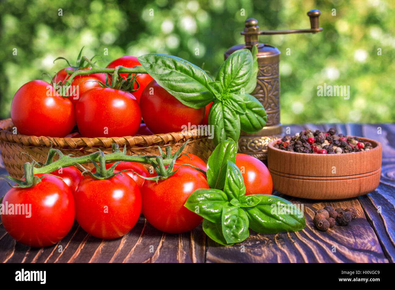 Tomates cerise , basilic, poivre et moulin à poivre sur planche de bois Banque D'Images