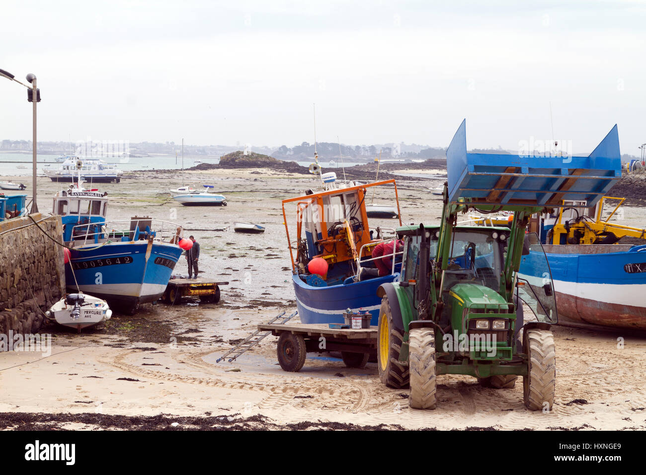 À marée basse, l'île de Batz, près de Roscoff, Bretagne, France Banque D'Images