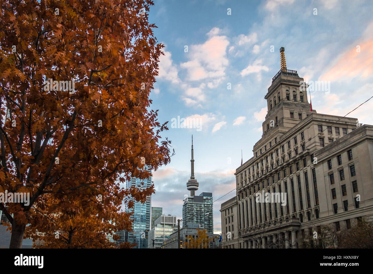 Bâtiments dans le centre-ville de Toronto avec la Tour CN et la végétation d'automne - Toronto, Ontario, Canada Banque D'Images