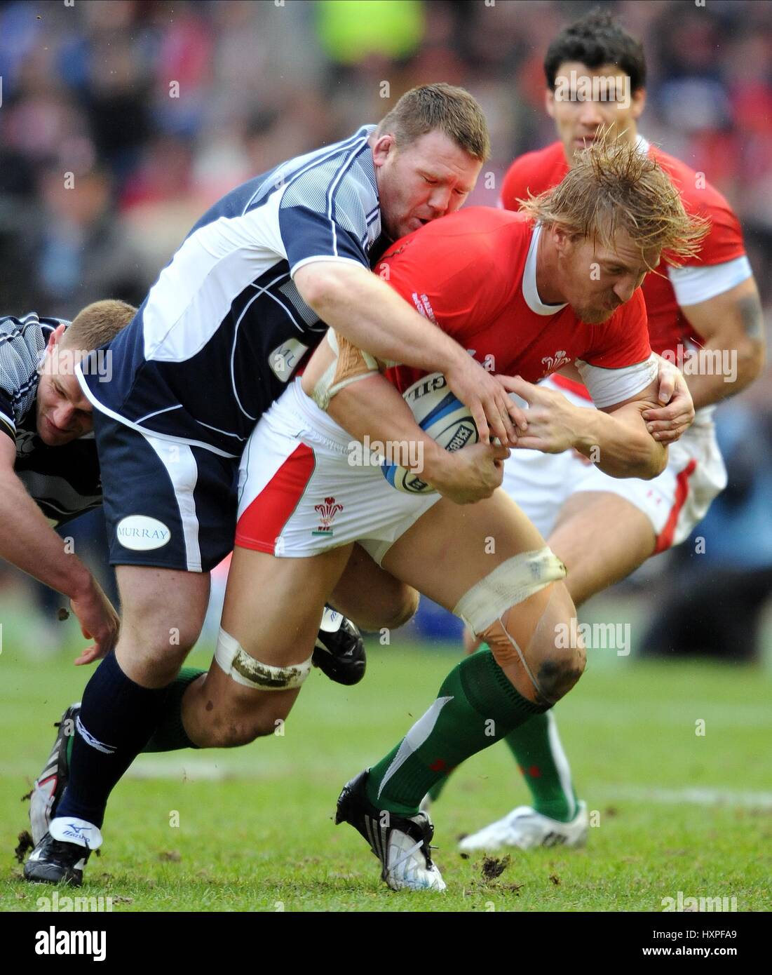 ALLAN JACOBSEN & ANDY POWELL ECOSSE V PAYS DE GALLES Stade de Murrayfield EDIMBOURG ECOSSE 08 Février 2009 Banque D'Images