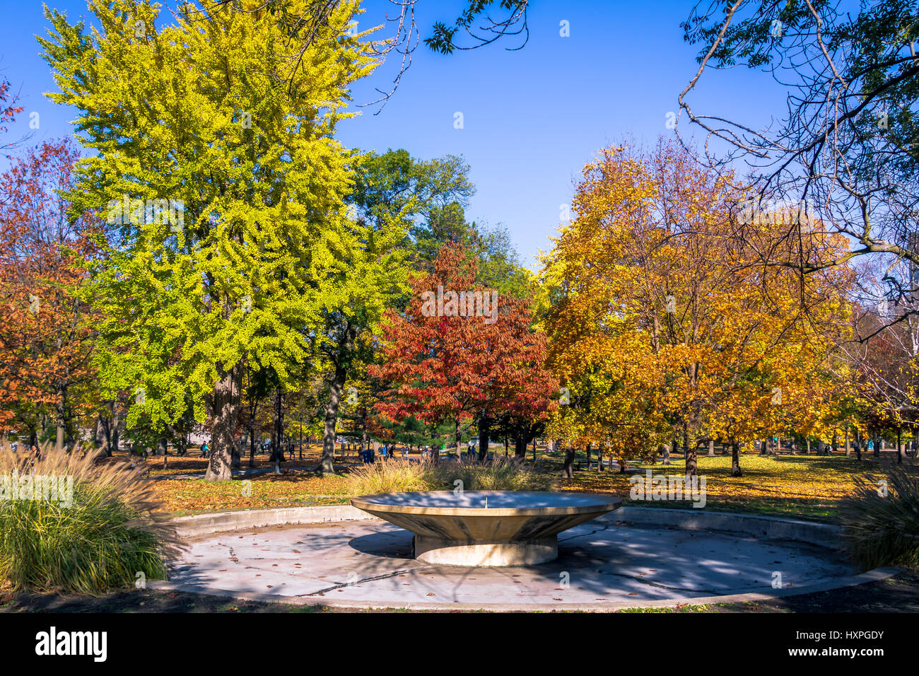 Automne végétation colorée de Queens Park - Toronto, Ontario, Canada Banque D'Images