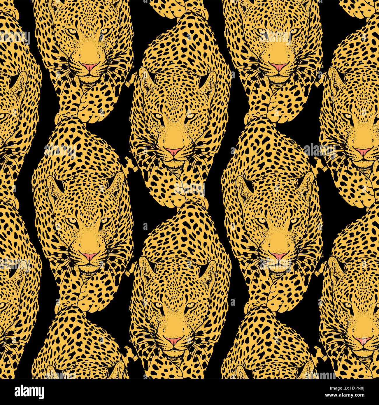Illustration de leopard, animal graphiques Banque D'Images