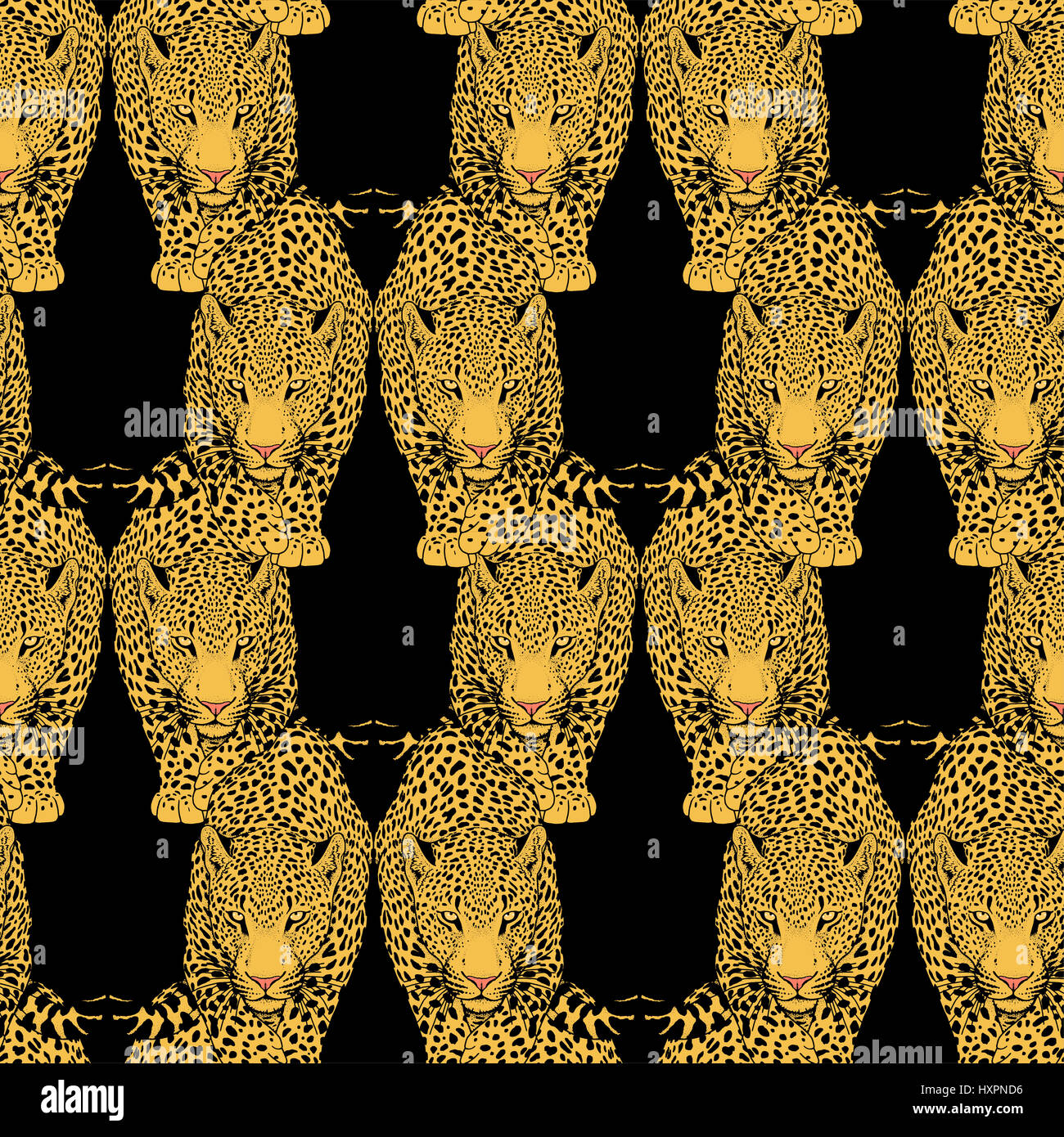 Illustration de leopard, animal graphiques Banque D'Images
