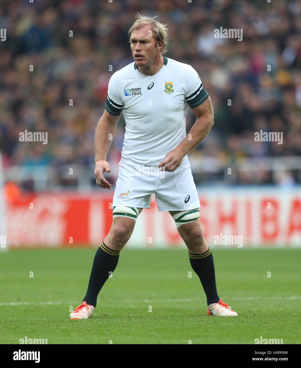 SCHALK BURGER AFRIQUE DU SUD AFRIQUE DU SUD ST JAMES PARK NEWCASTLE ANGLETERRE 03 Octobre 2015 Banque D'Images