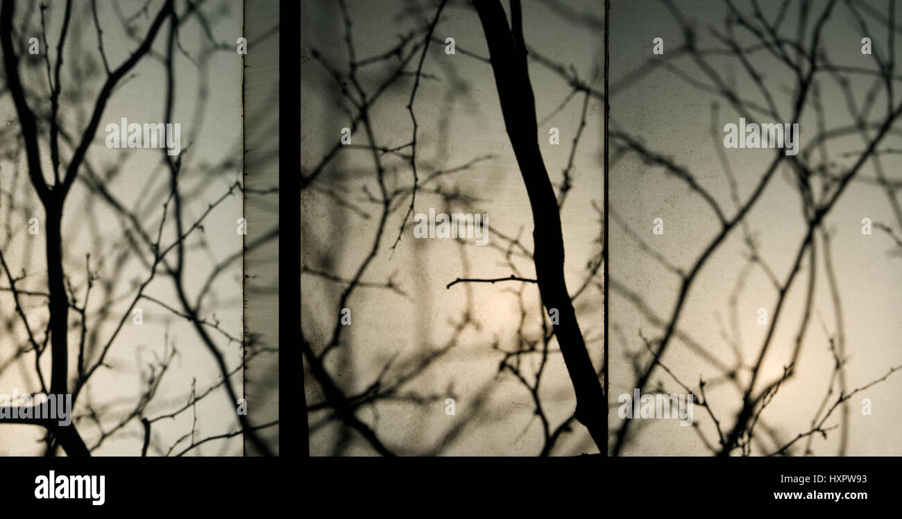 Vu à travers les branches d'un plastique translucide comme un triptyque. Banque D'Images