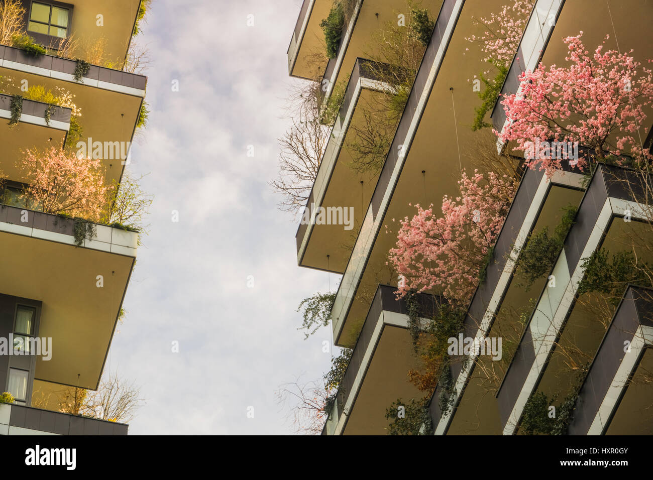 Eco Construction moderne et rapide des nuages dans le printemps avec les cerisiers Rose Banque D'Images