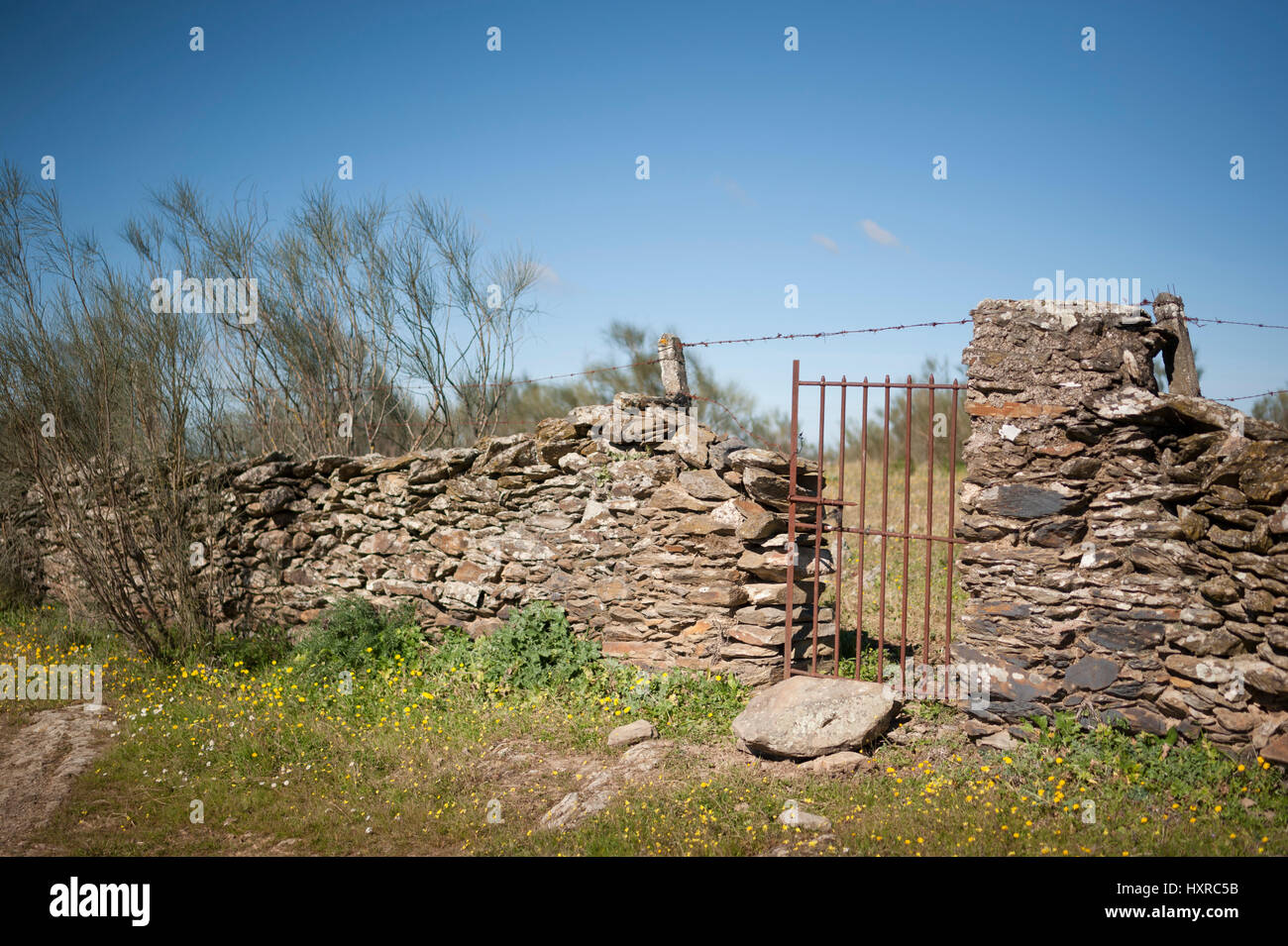 Campagne Près de Torrejón el Rubio, Cáceres, Extremadura, Espagne, Europe Banque D'Images