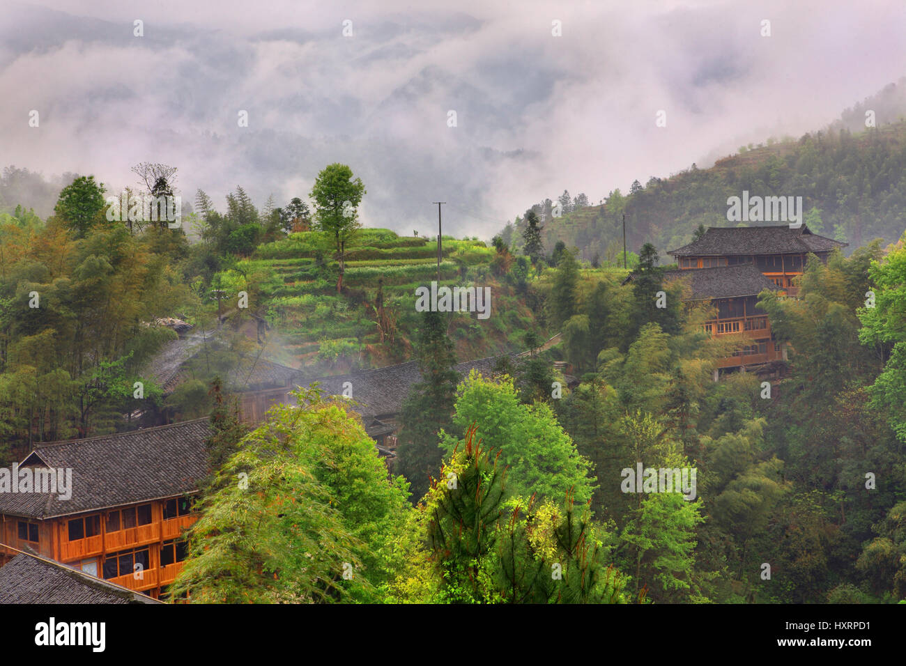 Dazhai Yao village, près de Longsheng, dans la province de Guangxi, au sud-ouest de la Chine. 3 avril 2010. Les rizières en terrasses à flanc de colline, Jinkeng Champ en terrasses, Guan Banque D'Images